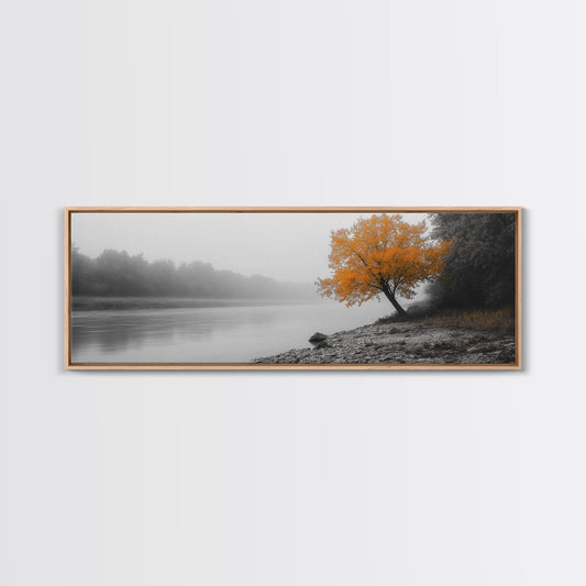 Autumn Nature Scene