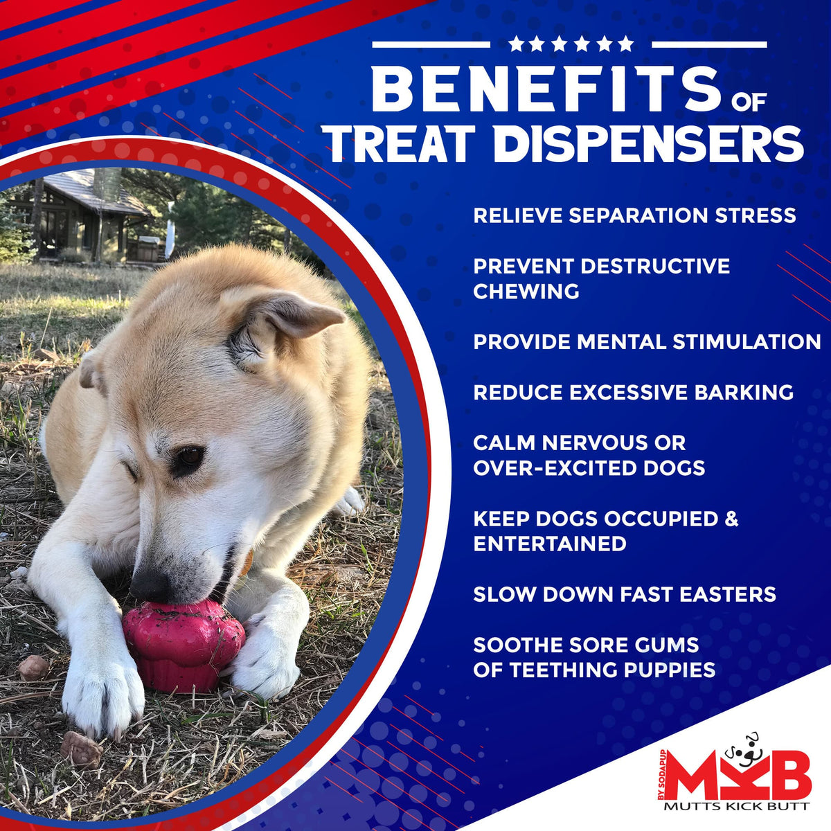 Durable Rubber Chew Toy & Treat Dispenser
