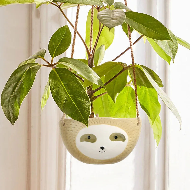 Hanging Flower Basket
