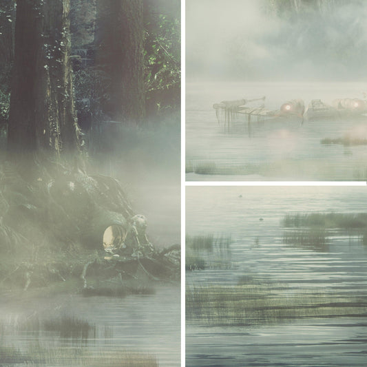 Dagobah Swamp