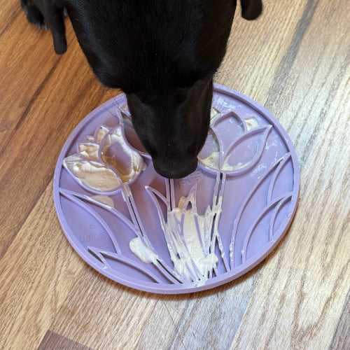 Enrichment Lick Mat For Dogs and Cats - With Suction Cups