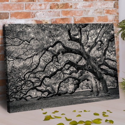 Monochrome Angel Oak Tree Canvas