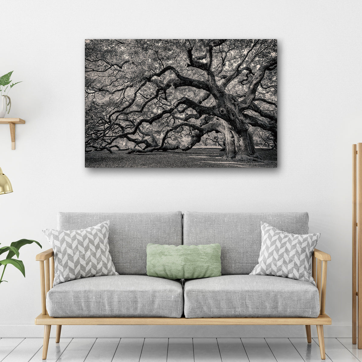 Monochrome Angel Oak Tree Canvas