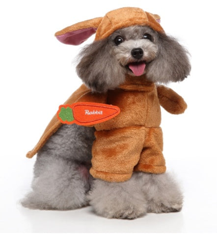 Funny Dog Clothes