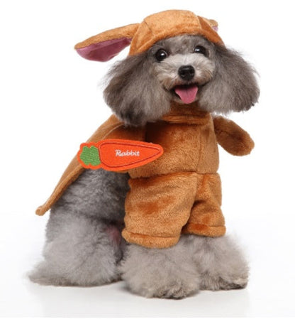 Funny Dog Clothes