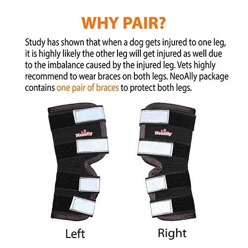 Rear Leg Hock Brace with Safety Reflective Straps for Large Dogs