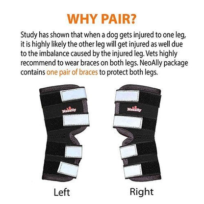 Rear Leg Hock Brace with Safety Reflective Straps for Large Dogs