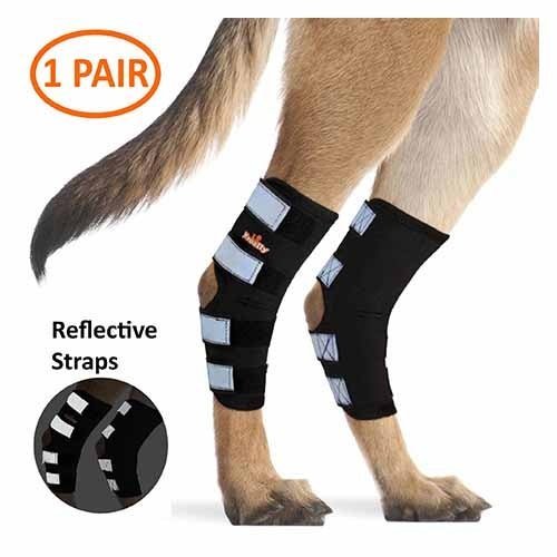 Rear Leg Hock Brace with Safety Reflective Straps for Large Dogs