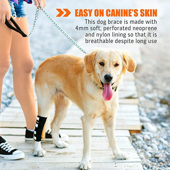Rear Leg Hock Brace with Safety Reflective Straps for Large Dogs
