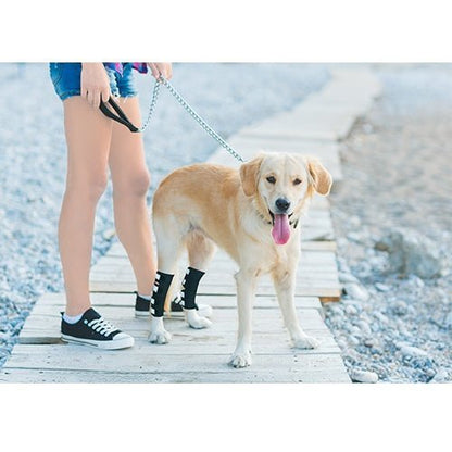 Rear Leg Hock Brace with Safety Reflective Straps for Large Dogs