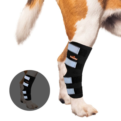 Rear Leg Hock Brace with Safety Reflective Straps for Large Dogs