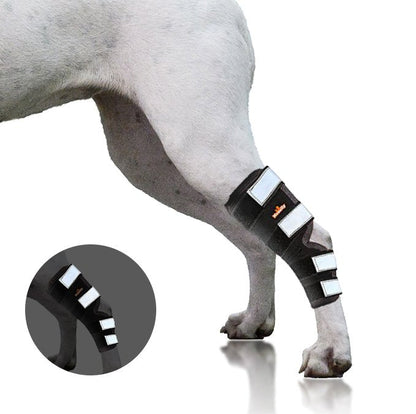 Rear Leg Hock Brace with Safety Reflective Straps for Large Dogs