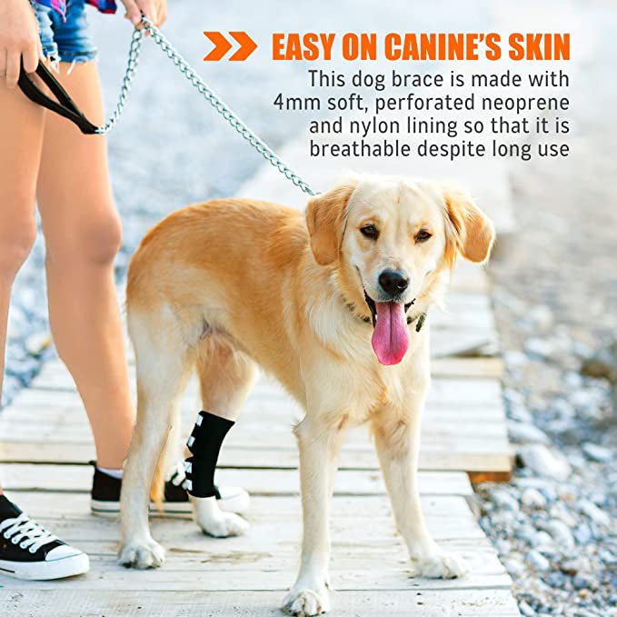 Rear Leg Hock Brace with Safety Reflective Straps for Large Dogs