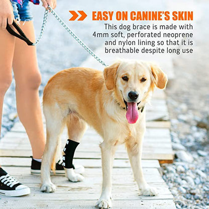 Rear Leg Hock Brace with Safety Reflective Straps for Large Dogs