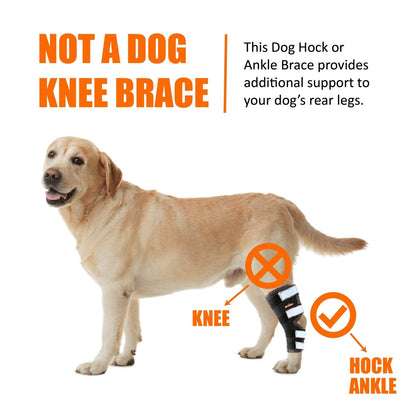 Rear Leg Hock Brace with Safety Reflective Straps for Large Dogs