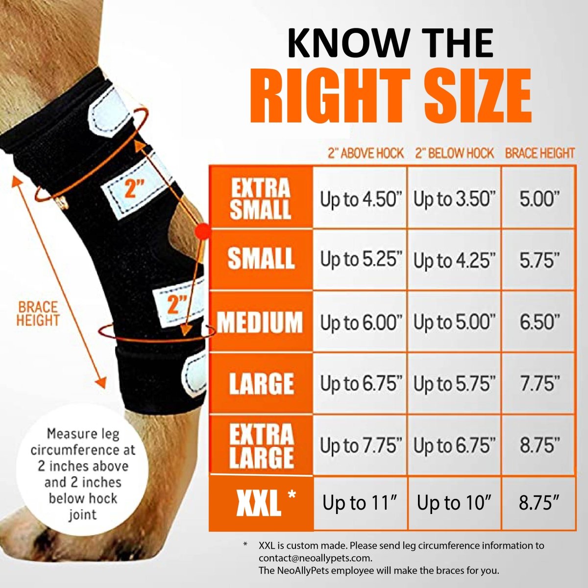 Rear Leg Hock Brace with Safety Reflective Straps for Large Dogs