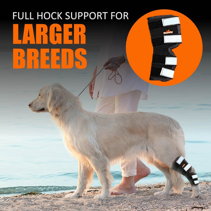 Rear Leg Hock Brace with Safety Reflective Straps for Large Dogs