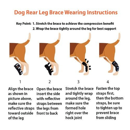 Rear Leg Hock Brace with Safety Reflective Straps for Large Dogs