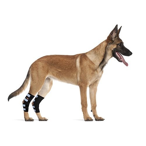 Rear Leg Hock Brace with Safety Reflective Straps for Large Dogs