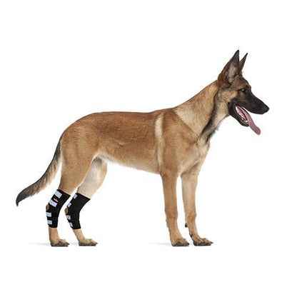 Rear Leg Hock Brace with Safety Reflective Straps for Large Dogs