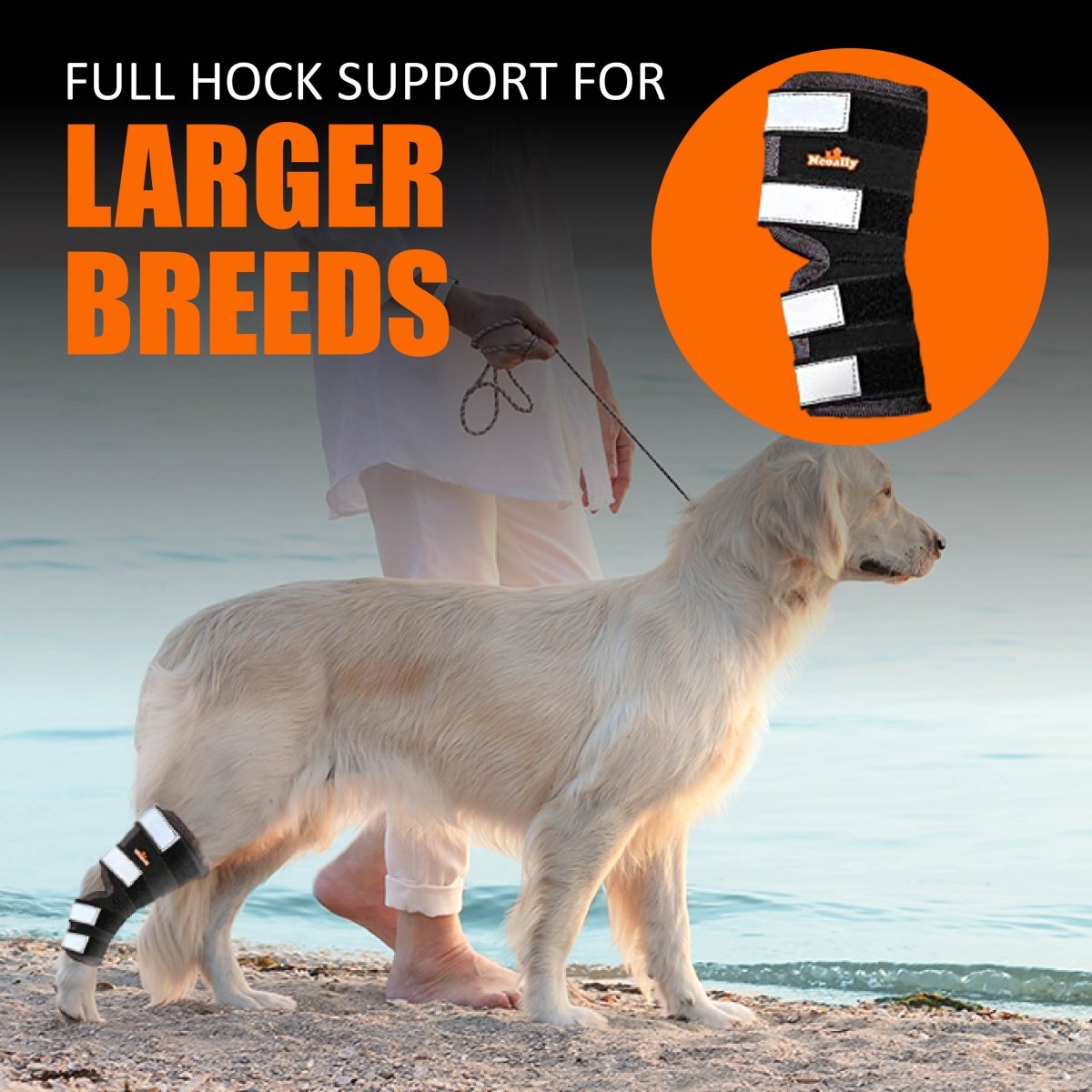 Rear Leg Hock Brace with Safety Reflective Straps for Large Dogs