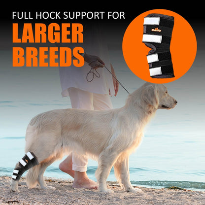 Rear Leg Hock Brace with Safety Reflective Straps for Large Dogs