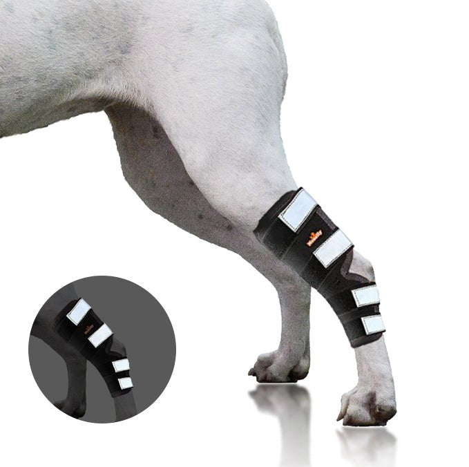 Rear Leg Hock Brace with Safety Reflective Straps for Large Dogs