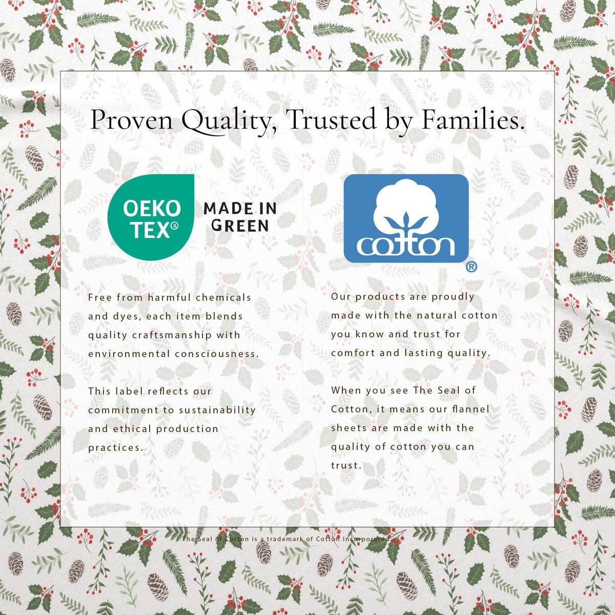 Turkish Cotton Christmas Flannel Sheet Set