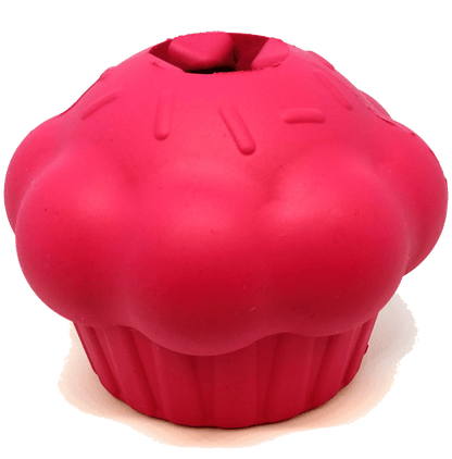 Durable Rubber Chew Toy & Treat Dispenser