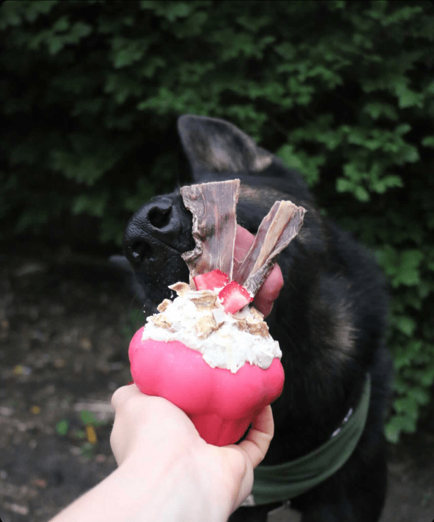Durable Rubber Chew Toy & Treat Dispenser
