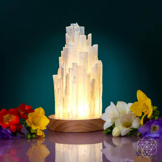 The Cleanse - All Selenite Lamp